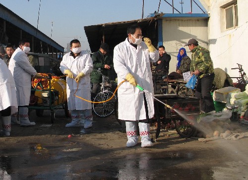 1月7日,三河市畜牧、防疫部门工作人员正在燕郊行宫市场活禽交易区消毒。新华社记者曹国厂摄
