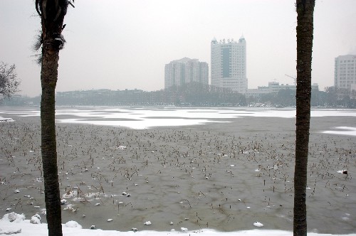 这是被冰雪覆盖的武汉东湖湖面(1月27日摄)。 新华社记者 余国庆 摄