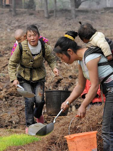 龙潭镇茨德陶家村的两位村民背着孩子下地给稻苗浇水(摄于3月25日)。新华社记者何俊昌摄
