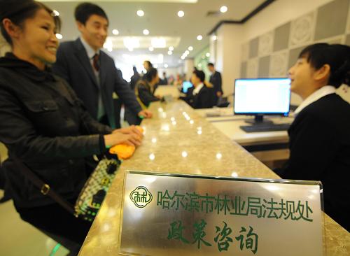 10月17日,市民在哈尔滨市林权流转活立木交易中心内向工作人员咨询政策。 新华社记者 王建威 摄