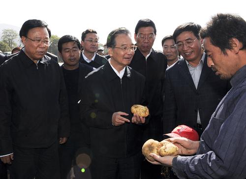 10月17日,温总理来到凤翔镇南川万亩马铃薯基地,查看生产和收获情况。庄稼地里,人们正忙着挖土豆。温家宝走进地里,从村民郭涛手里接过铁锹,一锹下去翻出来5个土豆,拿起亲手收获的土豆,温总理详细询问郭涛,他种了多少亩土豆?亩产多少斤?一亩收入多少? 新华社记者 李学仁 摄