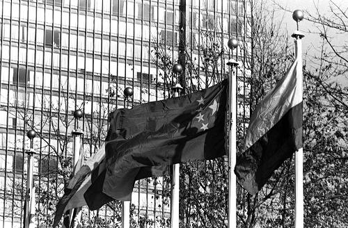1971年10月25日,第26届联合国大会通过2758号决议:恢复中华人民共和国在联合国的一切合法权利,并立即将蒋介石集团的代表从联合国及其所属一切机构中驱逐出去。从此,中华人民共和国的五星红旗开始飘扬在联合国大厦前的广场上。 中华人民共和国的五星红旗在纽约联合国大厦上空迎风飘扬(资料照片)。 新华社发