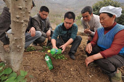 4月1日,在贵州省关岭县板贵乡,当地农技人员(右三)正在逐户培训群众,采用埋瓶渗灌法抢救濒临枯死的花椒树。新华社记者 杨楹 摄