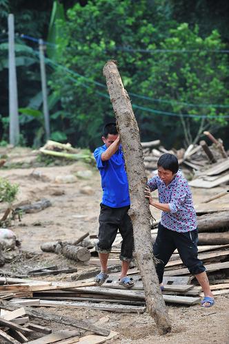 6月16日,在广西苍梧县沙头镇双尚村,村民在搬运木材。新华社记者 黄孝邦 摄