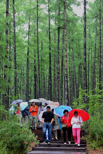 7月3日,游客们走出大兴安岭莫尔道嘎森林公园。新华社记者王颂摄