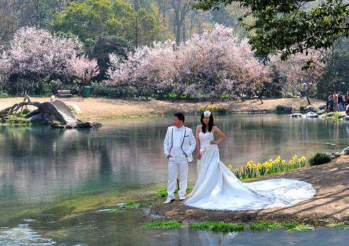 杭州拍婚纱照的景点_杭州西湖景点图
