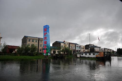 7月21日,洪湖降雨仍在持续,防洪压力持续加大。当日,洪湖水位达到26.77米,超过26.2米的警戒水位运行已经8天。原先“接天莲叶无穷碧”的洪湖如今大部分荷花都被淹入水下,渔民养殖的螃蟹开始出现大批的窒息死亡,损失惨重。受到洪水浸泡多日的洪湖围堤不堪重负,由于降雨还在持续,洪湖防洪出现巨大压力。新华社记者 郝同前 摄