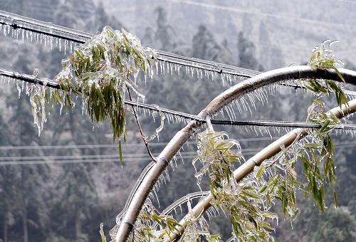 灌阳县西山瑶族乡北江村的一处输电线路出现覆冰(1月8日摄)。新华社记者陈瑞华摄