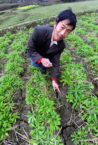 3月8日,四川广安市邻水县御临镇茅白村村民在介绍菜地干裂情况。目前,四川省广安、凉山、攀枝花、绵阳等地旱情持续,春耕生产受到严重影响,当地政府和群众积极抗旱,尽全力确保春耕。新华社发
