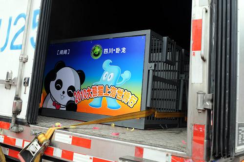 1月5日,装载着10只“世博大熊猫”的卡车离开四川雅安碧峰峡基地。 新华社记者 陈燮 摄