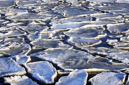 大连黄渤海海冰融化形成海面浮冰