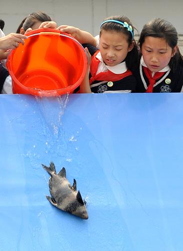 6月6日,参加活动的小学生在向江中放流鱼种。新华社记者 孙参 摄
