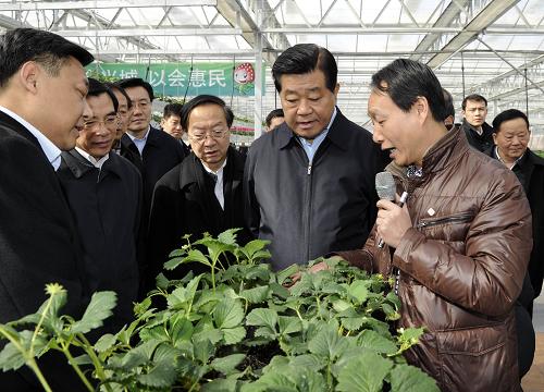 2月14日至15日,中共中央政治局常委、全国政协主席贾庆林在北京调研。这是2月14日,贾庆林在昌平区草莓博览园调研。新华社记者 饶爱民 摄