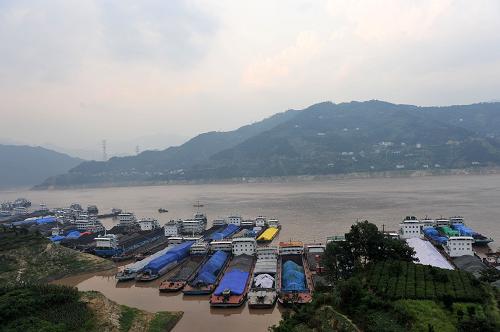 7月31日,众多船舶在三峡大坝上游湖北省秭归县沙湾锚地停靠并等待过闸。新华社发(王辉富 摄)