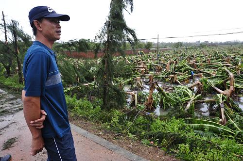 吴川市覃巴镇对面坡村果农叶坤仔站在自家被毁的香蕉林旁(7月23日摄)。新华社记者 梁旭 摄
