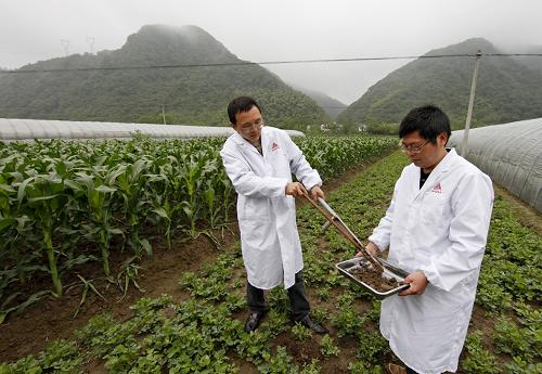 5月24日,技术人员在试验田里取土采集样本。安徽第一家测土配方施肥研究基地、中国农业大学——司尔特公司测土配方施肥研究基地日前在安徽省宁国市成立。据悉,这个基地将以安徽、江西、湖南等长江中下游地区600多万亩耕地为依托,通过校企合作,全面深入地推广测土配方施肥、降低农业生产成本、保证粮食稳产增产等技术。新华社发(李晓红 摄)