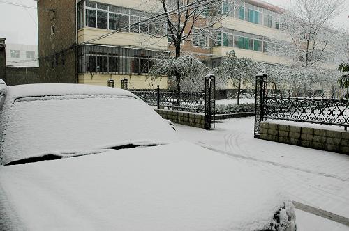 11月29日,山西忻州市街头银装素裹。当日凌晨,山西忻州市迎来2011年入冬以来的第一场雪。整个忻州市区被大雪笼罩,一片银妆素裹的世界。新华社发(梁春霞 摄)