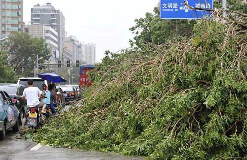 9月23日,大量倒伏的树木将汕尾城区主干道汕尾大道堵塞,部分路段三车道仅剩一车道可通行。新华社记者 梁旭 摄