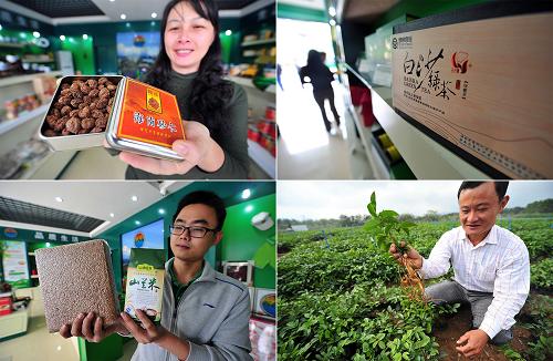 图为在白沙农产品直销店出售的特色农产品海南砂仁、白沙绿茶、白沙山兰米和在白沙南药种苗繁育基地种植的南药牛大力(12月4日摄,拼版照片)。位于海南岛中西部的白沙黎族自治县是国家级贫困县,近年来,该县大力发展热带农业,培育特色品牌,开发产供销一体化产业链。白沙绿茶、竹笋等产品远销日本、韩国和东南亚各国,而特色南药种植更成为当地农民的“摇钱树”。2013年前三季度全县农业总产值18.5亿元,同比增长6.5%,农民人均纯收入5043元,同比增长15.7%。新华社记者 郭程 摄