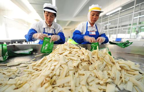 12月4日,工人在白沙邦溪竹笋加工厂为笋片打包。新华社记者 郭程 摄