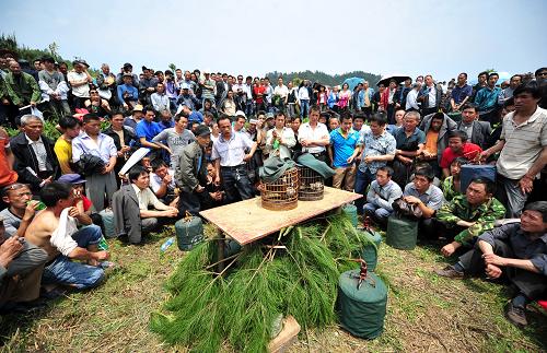 4月17日,群众在大戊梁歌会上围观斗鸟比赛。新华社发(覃庆贵 摄)