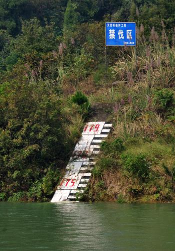三峡库区内的一处水位标志牌前,水位显示已经临近175米最终蓄水位(10月22日摄)。新华社记者 郝同前摄