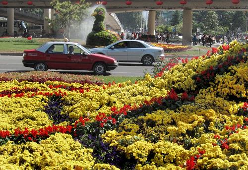 10月3日,在郑州街头,过往车辆从道路两侧的“孔雀”花坛间穿过。 国庆长假期间,在河南省郑州市的休闲广场、街心花园和道路两旁,由500万盆各色鲜花组成的花坛、花廊、花圃,犹如一幅幅优美、和谐的立体风景画,扮靓了节日的郑州。 新华社记者王颂摄