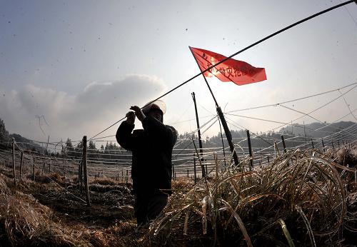 1月21日,在广西桂林市资源县中锋乡长冲村,广西水利电业集团公司工人正在拉电线,准备抢修线路。当日,记者从广西壮族自治区应急办了解到,截至1月20日16时,广西电网有15条线路被迫停运,共有10千伏及以上覆冰线路89条,110千伏严重覆冰线路1条。目前,广西水利电业集团公司所辖区域的配电网有215条正在紧急抢修。新华社记者 周华 摄