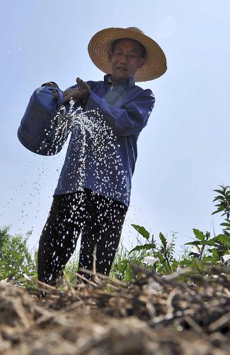 5月29日,在江西德兴市银城镇小吴园村,农民用洒水壶浇蔬菜。 针对江西省严重旱灾,国家减灾委、民政部于当日13时紧急启动国家四级救灾应急响应,派出工作组赶赴灾区,查看灾情,协助开展救灾工作。据江西省民政厅报告,截至5月29日12时统计,近期严重干旱灾害已造成生活困难需政府救助人口111.8万人。 新华社发(胡敦煌 摄)
