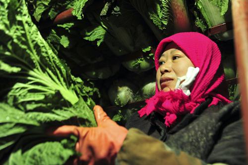 新疆昌吉六工镇菜农张茂美在自家保鲜库中翻白菜剔除烂叶(12月8日摄)。新华社记者 王菲 摄