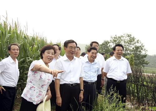 这是8月12日,贺国强在晋中市昔阳县大寨村考察。新华社记者 丁林 摄