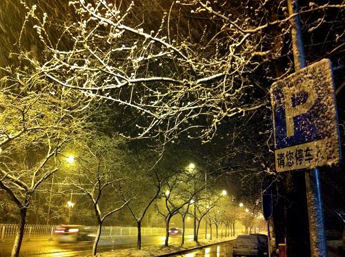 3月18日凌晨北京街头雪景。 3月17日深夜至18日凌晨,北京市区突迎降雪,京城大地一派银装素裹。 新华社记者侯俊摄