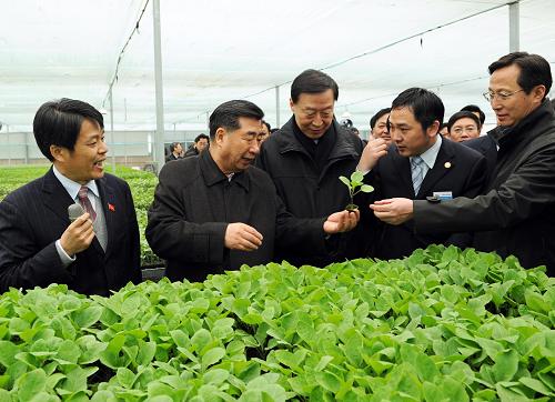 3月22日,国务院在江苏徐州召开全国春季农业生产工作会议,全面部署春耕生产和农业农村工作。中共中央政治局委员、国务院副总理回良玉出席会议并讲话。这是会议召开前,回良玉在徐州市铜山区农业科技创新试验示范基地考察。新华社记者 谢环驰 摄