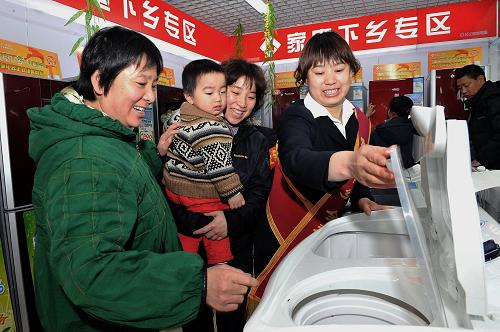 2010年3月12日,北京顺义区西单电器商场“家电下乡”专区的售货员向顾客介绍洗衣机产品性能和质量。新华社发(资料照片)