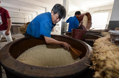 10月30日,古越龙山沈永和酒厂的酿酒师傅谢守贤往酒缸内撒入发酵的酒药,酒药的多少以及发酵温度的控制,都是由酿酒师傅根据丰富的经验来把握。 新华社记者 徐昱 摄