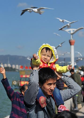 10月30日,游客带着孩子在昆明滇池草海大坝上观赏红嘴鸥。新华社记者 蔺以光 摄