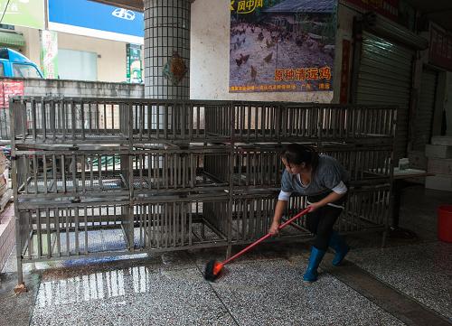 12月13日,在深圳龙岗区南湾街道康桥肉菜市场,检出H7N9禽流感病毒核酸阳性的禽鸟档口的帮工在进行清洗、消毒工作。广东省卫生计生委12月11日发布消息称,深圳龙岗区两个活禽市场3份环境标本检出H7N9禽流感病毒核酸阳性,其中1份来自龙岗区横岗市场家禽档砧板;2份来自龙岗区南湾街道康桥肉菜市场三鸟档的鸡粪和该档口的脱毛器。专家评估认为广东省发生散发人感染H7N9禽流感病例风险极高。12月12日,龙岗区所有活禽交易市场休市一天,并开展全面清洗、消毒工作,而查出阳性样本的两个问题活禽交易市场所有档口自12日起关闭7天,连续彻底清洗、消毒3天。新华社记者 毛思倩 摄