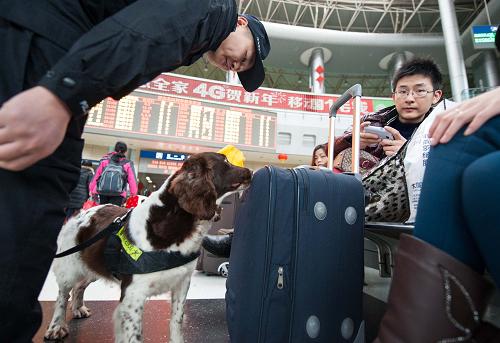 2月5日,搜爆犬“酸奶”和警官孟圻昕在重庆火车北站候车室内对旅客行李进行嗅查。新华社记者 刘潺 摄