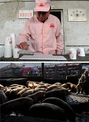 上:在北京“放心肉”试点生产企业之一的北京第五肉联厂,工作人员对生猪进行宰前瘦肉精检测;下:工作人员将一批生猪运送到指定地点,准备进行瘦肉精检测(拼版照片,摄于3月13日)。作为全国首批“放心肉”服务体系建设试点省市,北京“放心肉”工程已正式实施。“放心肉”工程是为提升肉品消费安全水平而展开的一项民生工程,它运用信息技术手段,在试点范围内建立以屠宰企业为核心,向上关联养殖场信息、向下追溯至零售终端的全程信息追溯链,实现“来源可追溯、去向可查证、责任可追究”。目前北京市“放心肉”工程共有3家试点生产企业,据初步统计,今年前两个月这3家试点企业共屠宰生猪70万头,约占本市生猪总量的60%。新华社记者公磊摄