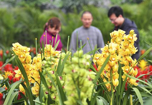 1月22日,山东省滨州市邹平县好生镇花农帮助客商选购鲜花。新华社发(董乃德 摄)