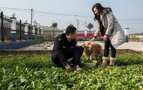 2月10日,横店东派出所民警韩陆军(左)春节期间值班不能回家,他的妻子(右)前来相伴,两人在警务区的菜地里摘菜。新华社记者 程敏 摄