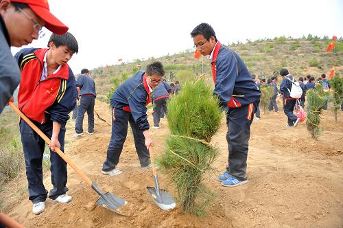 5月17日,青年学生在参加植树活动。新华社记者 陈晔华 摄