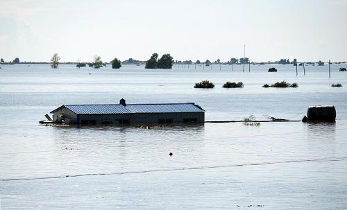 黑龙江抚远洪水图片