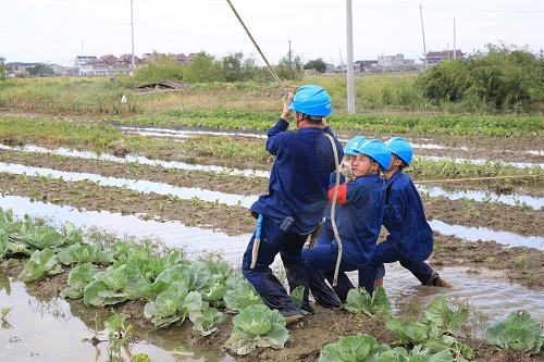 10月8日,国网临安市供电公司的抢修队员在积水的田中作业。新华社发(郭芳 摄)
