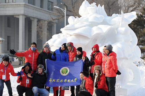 1月7日,几支参赛大学生队伍在获得二等奖的西北农林科技大学的雪雕作品《荷丛精灵》前合影。新华社记者 王松 摄