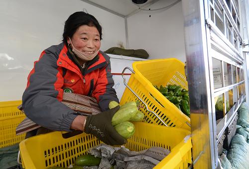 2月2日,售货员卓嘎在平价蔬菜直销车上销售蔬菜。新华社记者 觉果 摄