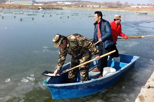 2月11日,边防民警帮助养殖户王言鹏(中)为养殖鱼类破冰增氧。新华社发(臧保东摄)