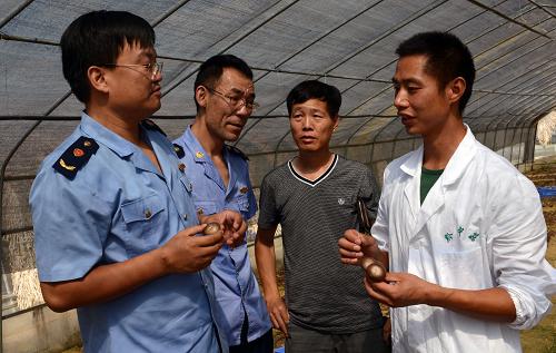 8月7日,工商干部来到贵阳市乌当区羊昌镇微型企业“黔中菇”菌业公司,帮助申请银行扶持贷款。为扶持微型企业发展,贵州省贵阳市乌当区政府从2012年3月开始,实施了“3个20万工程”,大力推动微型企业园区建设产业化聚集发展。“3个20万工程”即微企自筹10万元,政府财政出资10万元;工商、财政等多部门协调银行为微企提供20万元的扶持贷款;企业建成投产后政府奖励返还微企20万元的税金。据统计,到今年7月底,该工程共扶持发展微企8496户,带动就业43282人,投资资金87387万元;微企带动民间创业资本近亿元,实现销售额2568万元,产值约5000万元。新华社记者 杨楹 摄