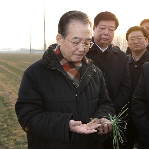 这是2月2日,温家宝来到曲阜市吴村镇中心村东大岭的麦田里察看旱情。 新华社记者 姚大伟 摄