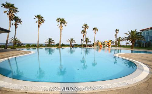 这是韩国济州岛海边的游泳池(6月1日摄)。济州岛是韩国最大的岛屿,是一座火山岛,位于朝鲜半岛最南端,2011年被评为“世界新七大自然奇观”之一。自2008年2月济州岛对中国人实施免签入境制度后,来济州岛旅游的中国游客人数激增,人数从2009年的25.8万人次增至2011年的57万人次,占来济州岛外国游客的54.6%。新华社记者 姚琪琳 摄